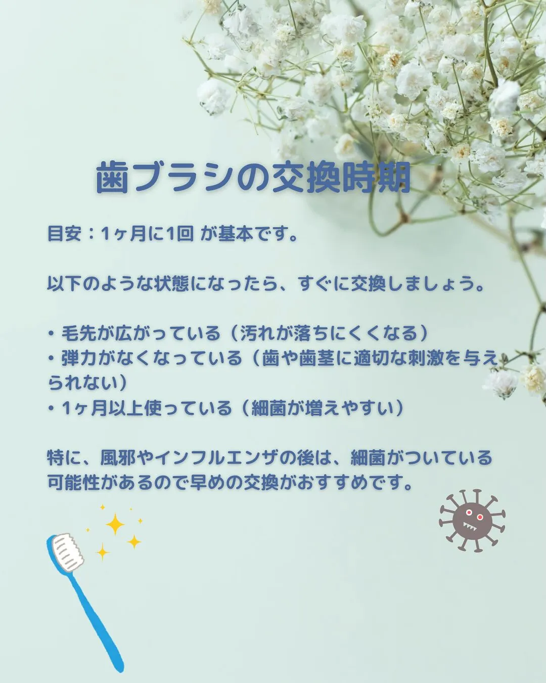 歯ブラシの選び方と交換時期について🪥⭐️