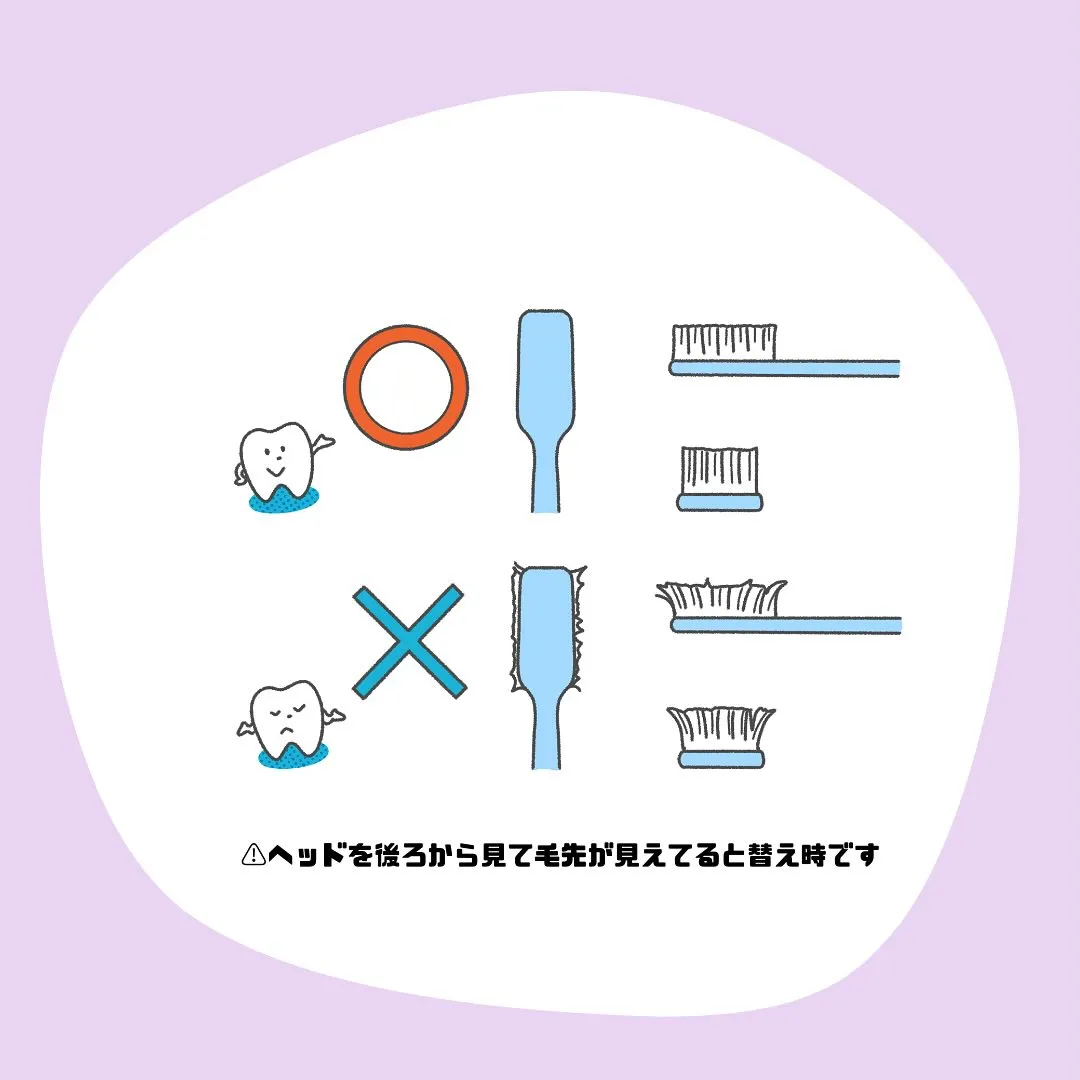 歯ブラシの交換時期について👑