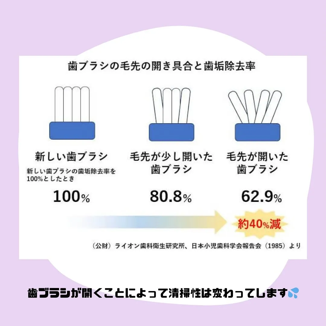 歯ブラシの交換時期について👑