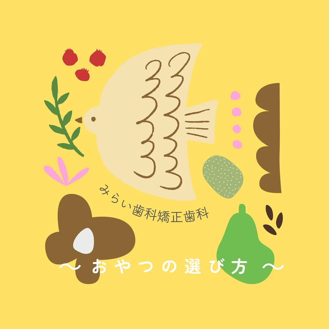 〜おやつの選び方🍪〜