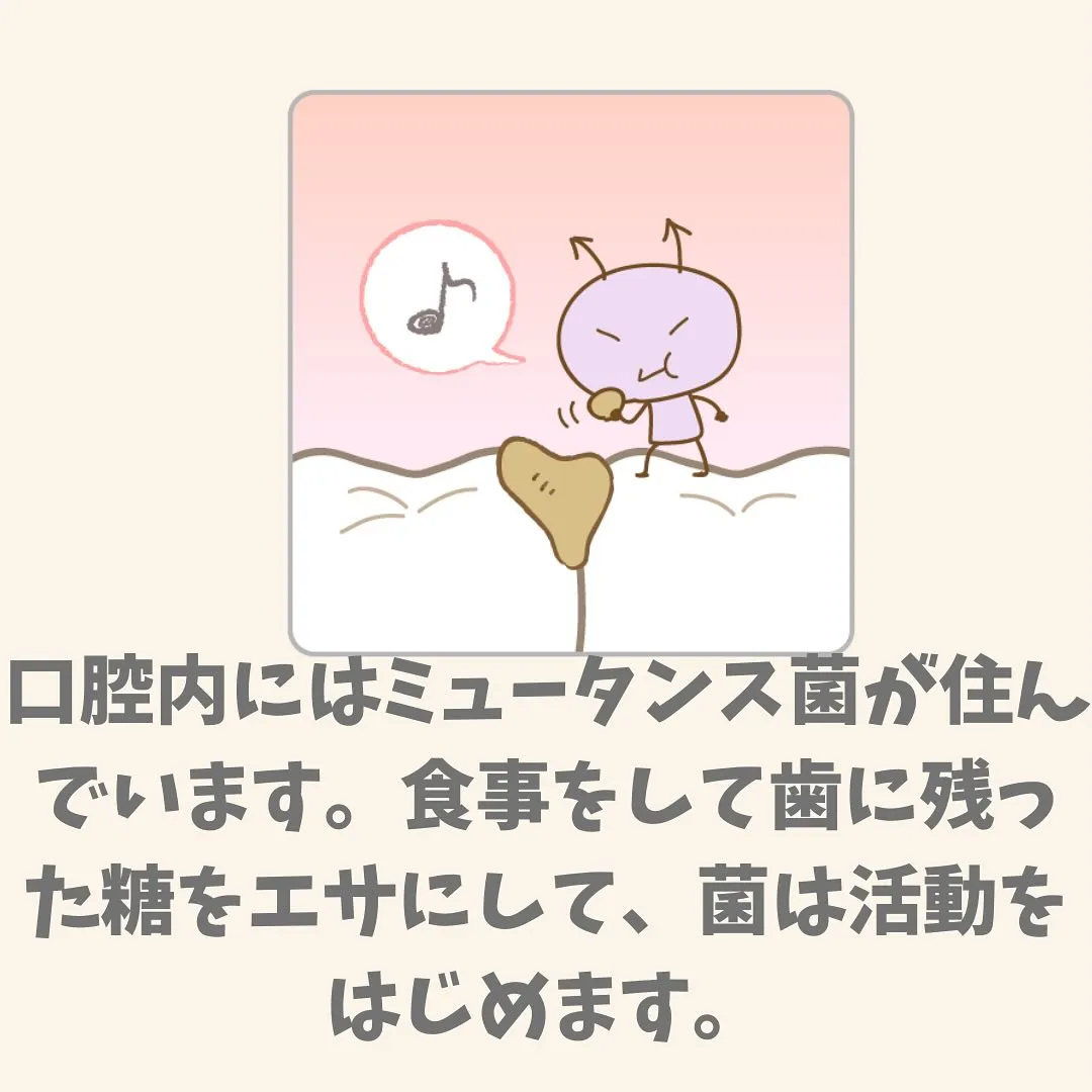 なぜ、むし歯になるのか？