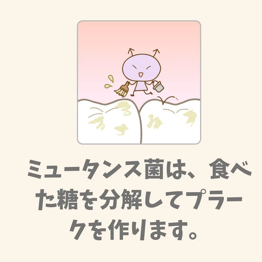 なぜ、むし歯になるのか？