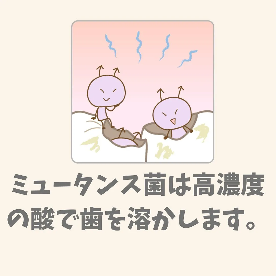 なぜ、むし歯になるのか？