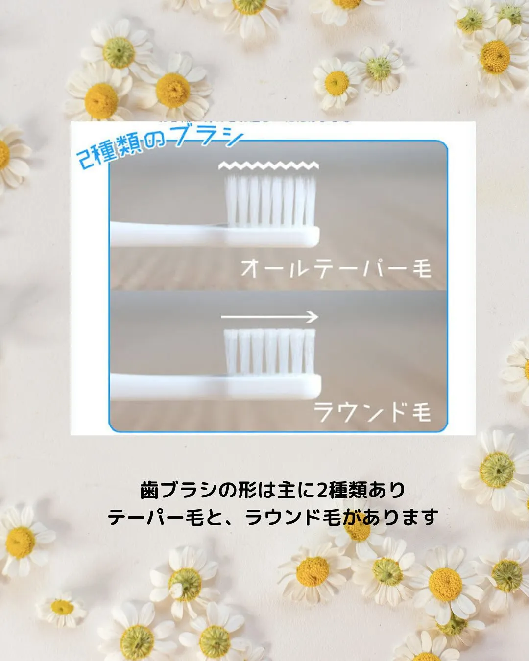 歯ブラシ選び方について✨