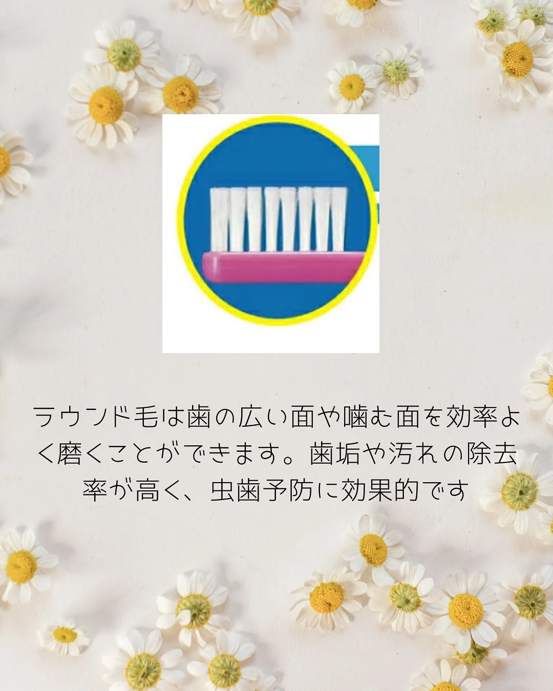 歯ブラシ選び方について✨