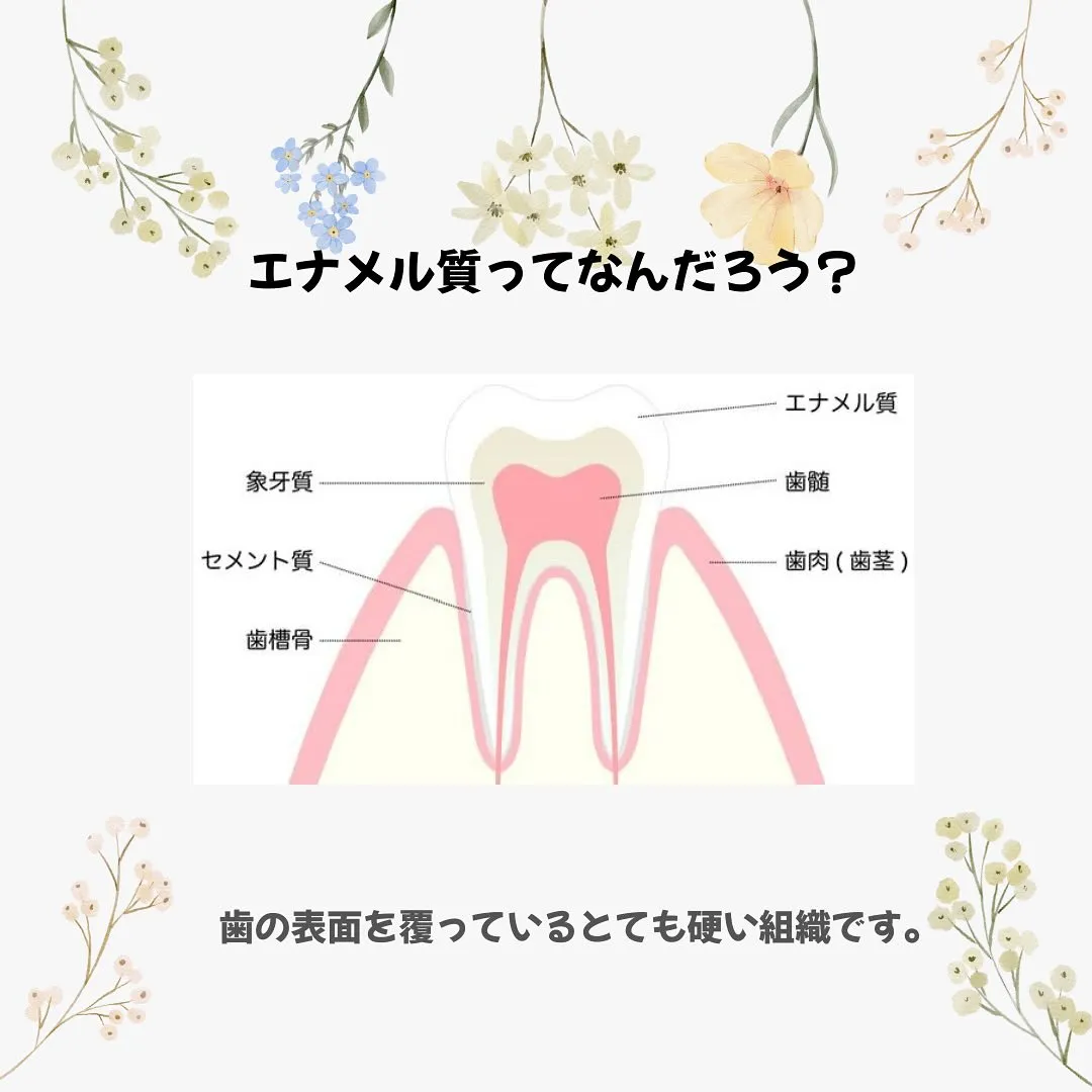エナメル質形成不全について